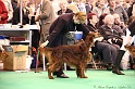 Crufts2011_2 043